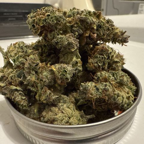Strawberry Milk and Qookies Remix (Plant 1) growlog timeline photo