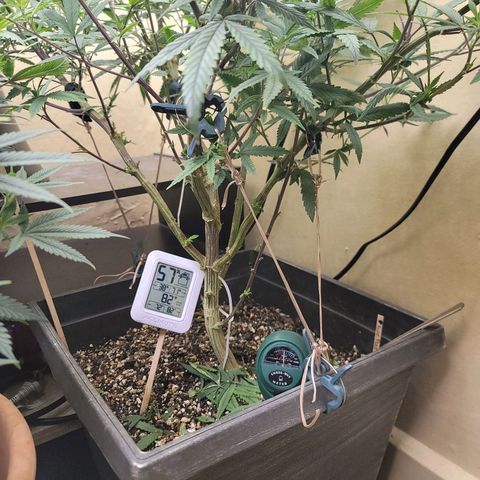 Power Plant 1 growlog timeline photo