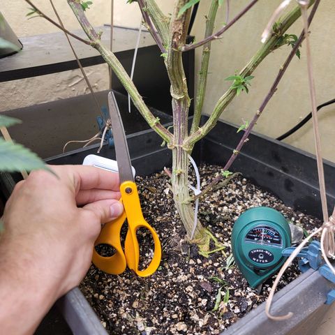 Power Plant 1 growlog timeline photo