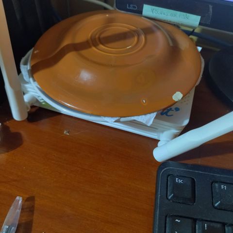 Chalupas CBD growlog photo: Para la germinación se procedió con el método en medio de servilletas con platos 
Colocando agua destilada y una gota de agua oxigenada, se tapó y se colocó encima del router 