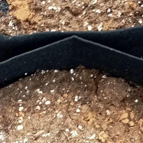 Kritikal Bilbo growlog timeline photo