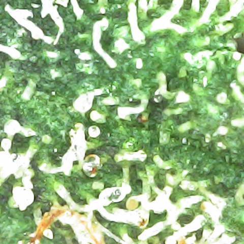 Godfather OG growlog timeline photo