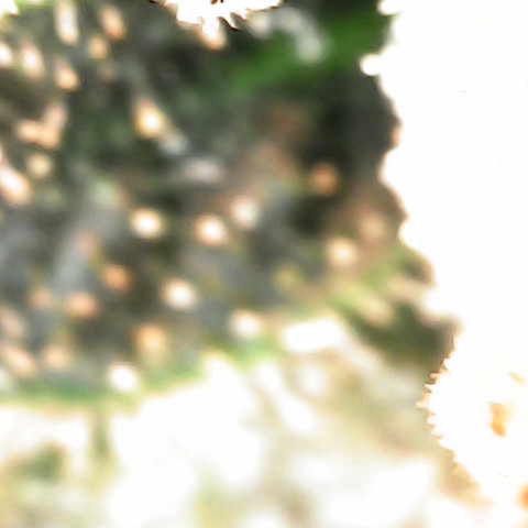 Godfather OG growlog timeline photo