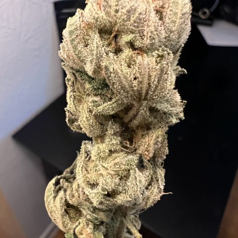 Godfather OG growlog timeline photo