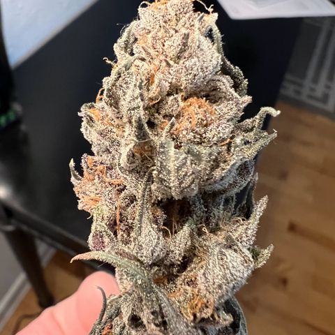 Godfather OG growlog timeline photo