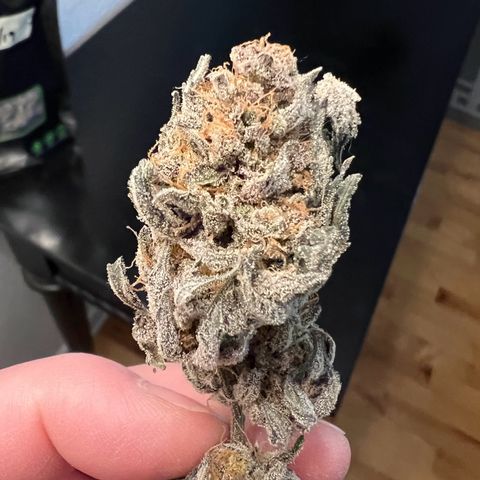 Godfather OG growlog timeline photo