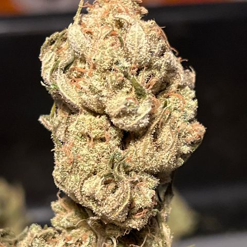 Godfather OG growlog timeline photo