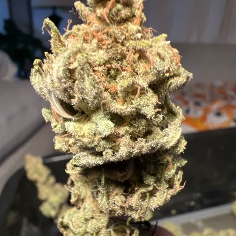 Godfather OG growlog timeline photo