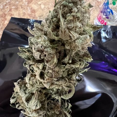 Gorilla Glue #4 growlog timeline photo