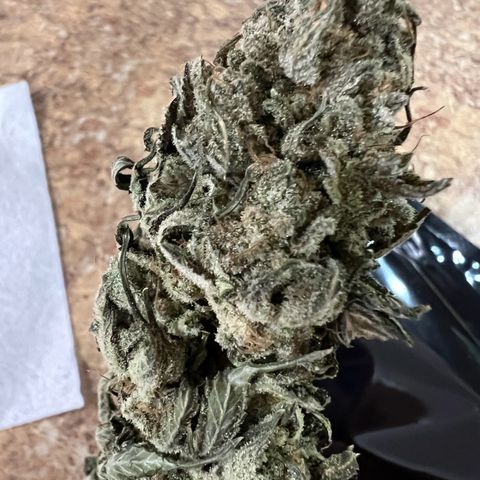 Gorilla Glue #4 growlog timeline photo