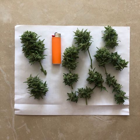 Sweet tooth auto  growlog timeline photo