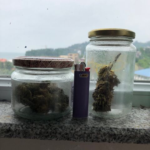 Sweet tooth auto  growlog timeline photo