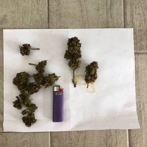 Sweet tooth auto  growlog timeline photo