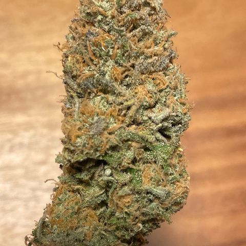 Purple Queen growlog timeline photo