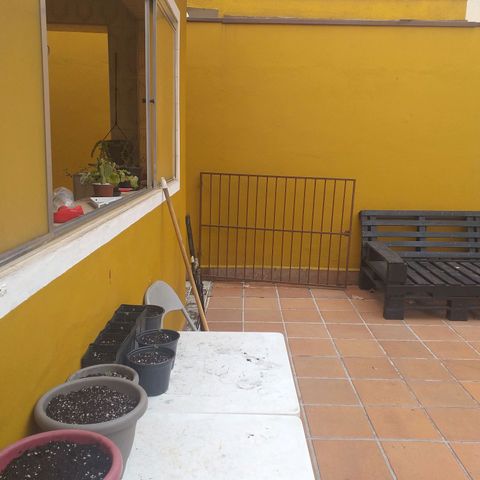 Genética desconhecida growlog timeline photo