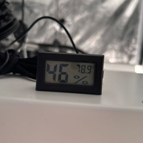 Cinnamon Milk growlog timeline photo