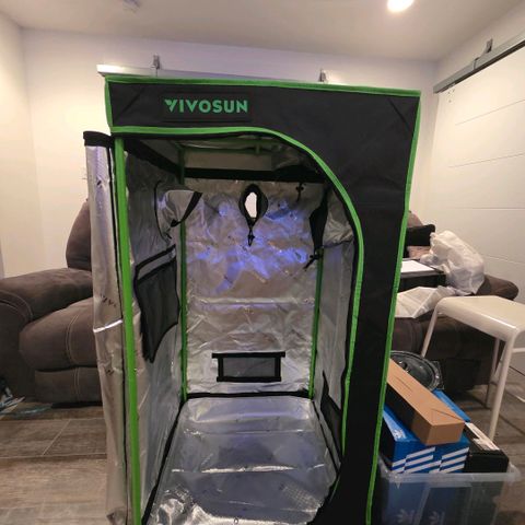 GMO Garlic Cookies - Hygieia growlog photo: Vivosun 2x2x4 grow tent 