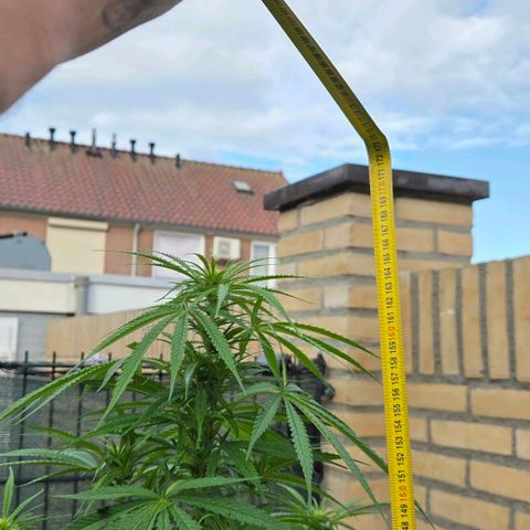North Thunderfuck growlog photo: Beautifull