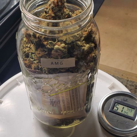 Chocolate Haze - 2 growlog photo: 90.79 G
3.2 Oz