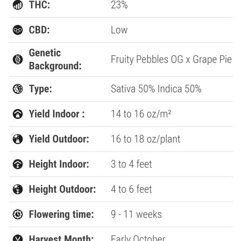 Sundae Driver growlog timeline photo