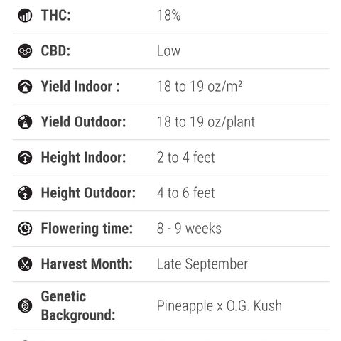 Pineapple Kush growlog timeline photo