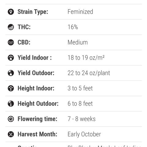 Honey Cream growlog timeline photo