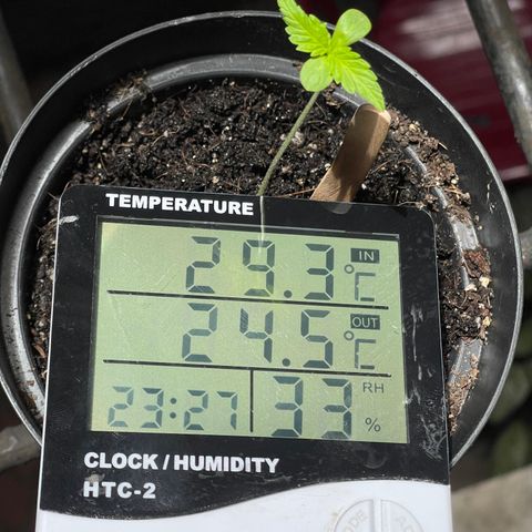 Santa Marta Colombian growlog photo: 4 horas de sol ☀️ 