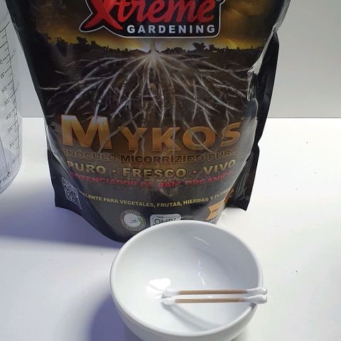 Highness  #2 growlog photo: Umtopfen in 11 liter