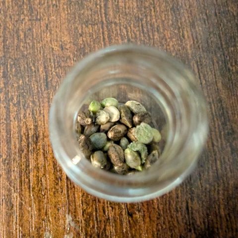 Grape toof growlog timeline photo