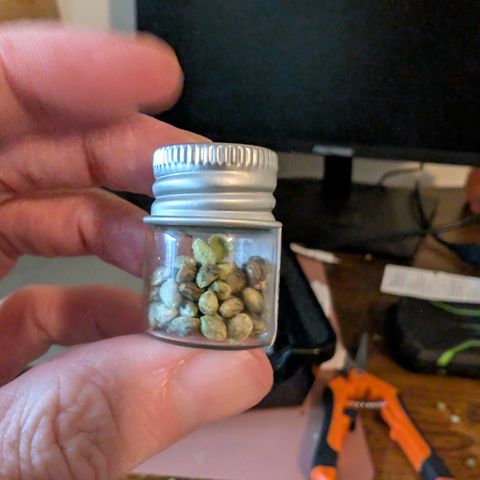 Grape toof growlog timeline photo