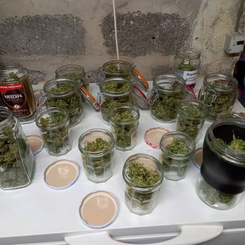 SS1 growlog photo: en bocaux !!! 