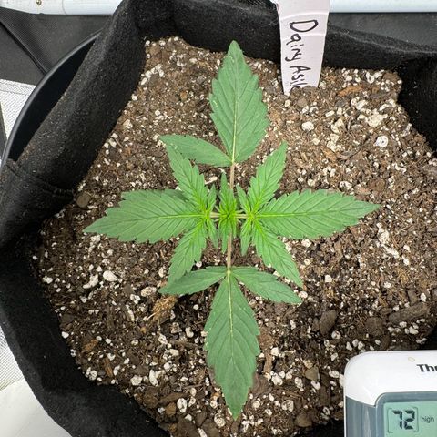 Dairy aisle  growlog timeline photo