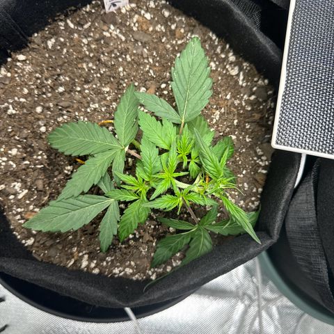 Dairy aisle  growlog timeline photo