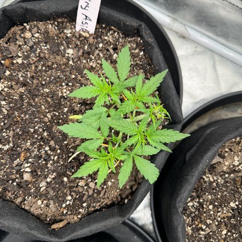 Dairy aisle  growlog timeline photo