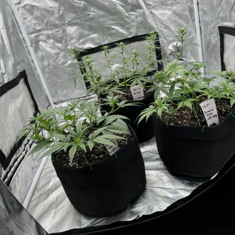 Dairy aisle  growlog timeline photo