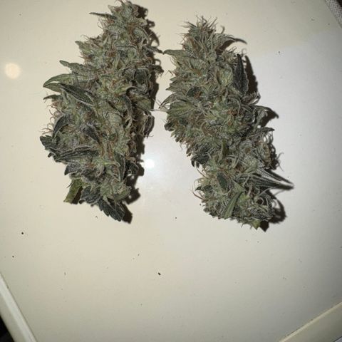 Dairy aisle  growlog timeline photo