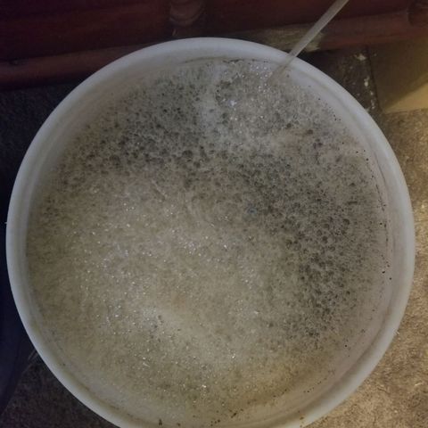 LPA #1 growlog photo: Compost Tea