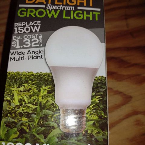 Forbidden Runtz growlog photo: Miracle LED smokephonics is brilliant