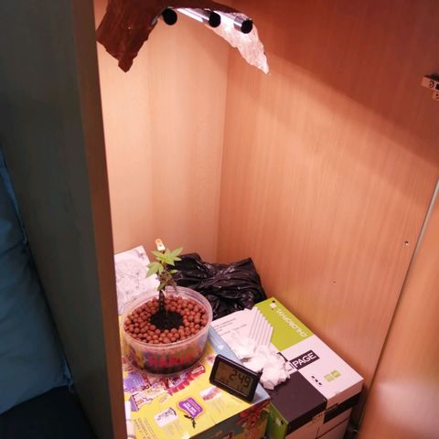 Génétique inconnue growlog timeline photo