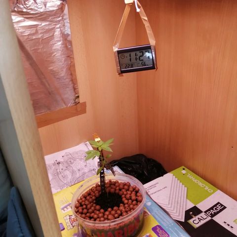 Génétique inconnue growlog timeline photo