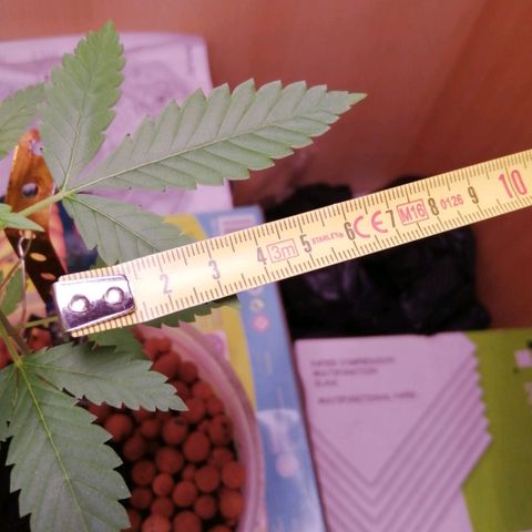 Génétique inconnue growlog timeline photo