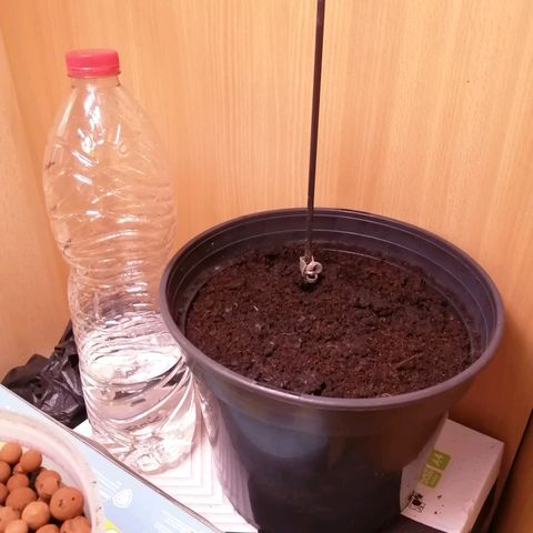 Génétique inconnue growlog timeline photo