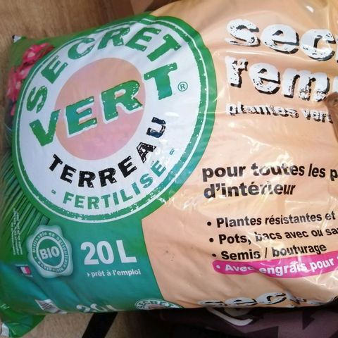 Génétique inconnue growlog photo: Rempotage