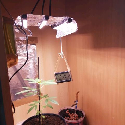 Génétique inconnue growlog timeline photo