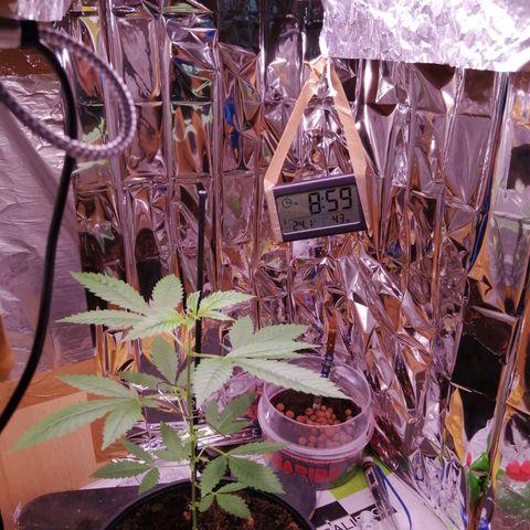 Génétique inconnue growlog timeline photo