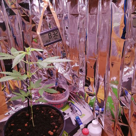 Génétique inconnue growlog timeline photo