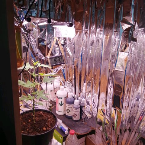 Génétique inconnue growlog timeline photo