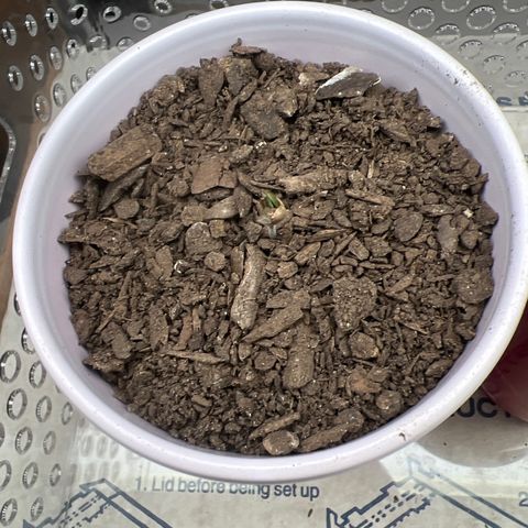 Moe growlog timeline photo