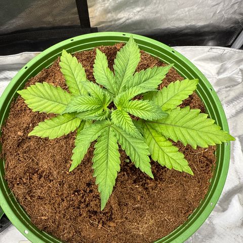 Fx3 growlog timeline photo
