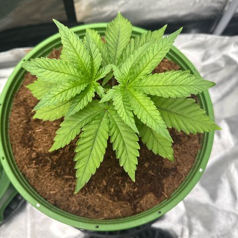 Fx3 growlog timeline photo